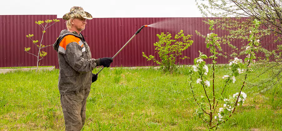 Flea and Tick Spray for Yard in Grants Pass