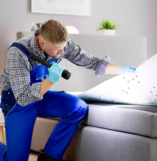 Why Choose Grants Pass Pest Control Pro For Bed Bug Heat Treatment in Grants Pass, OR?