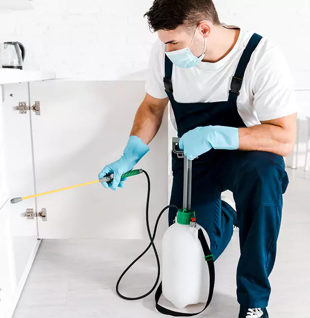 Why Choose Grants Pass Pest Control Pro for Indoor Pest Control in Grants Pass, OR?