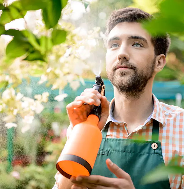 Why Grants Pass Pest Control Pro Is the Best Mosquito Control Company in Grants Pass, OR?