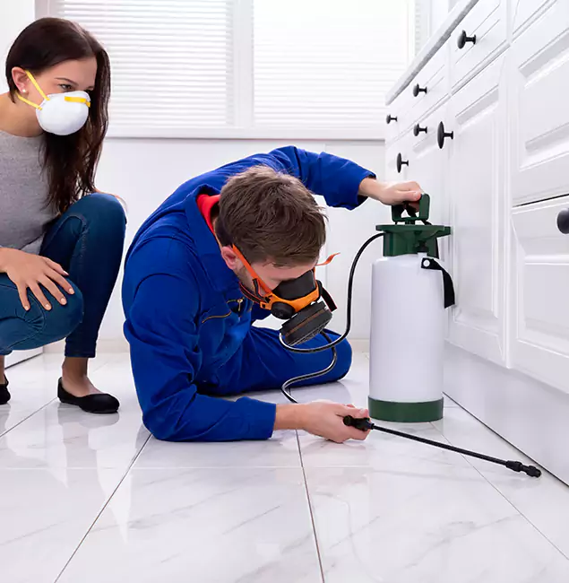 Why Choose Grants Pass Pest Control Pro in Grants Pass, OR?