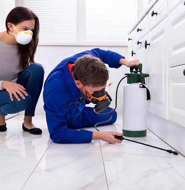 Why Choose Wood Termite Treatment by Grants Pass Pest Control Pro in Grants Pass, OR?