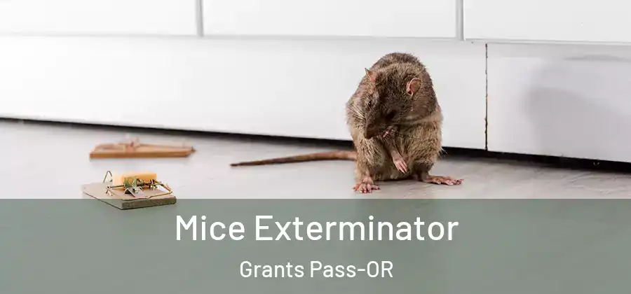  Mice Exterminator Grants Pass-OR