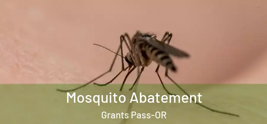 Mosquito Abatement Grants Pass-OR
