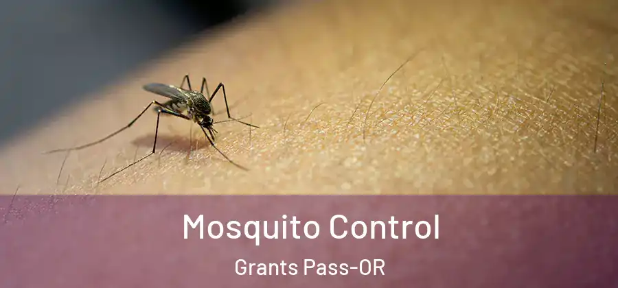  Mosquito Control Grants Pass-OR
