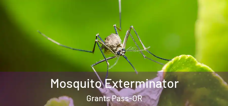 Mosquito Exterminator Grants Pass-OR