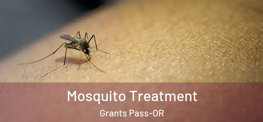 Mosquito Treatment Grants Pass-OR
