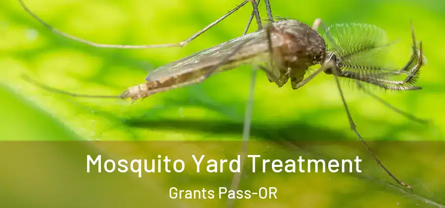 Mosquito Yard Treatment Grants Pass-OR