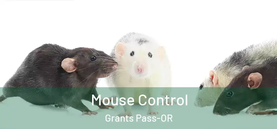  Mouse Control Grants Pass-OR