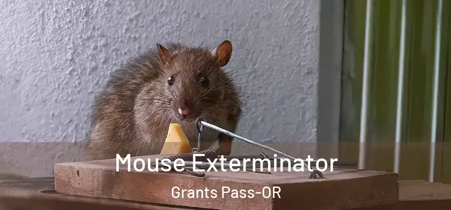 Mouse Exterminator Grants Pass-OR