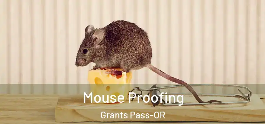 Mouse Proofing Grants Pass-OR