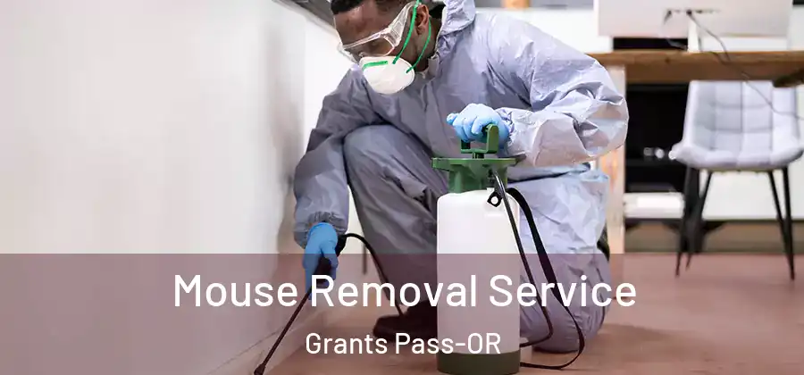 Mouse Removal Service Grants Pass-OR