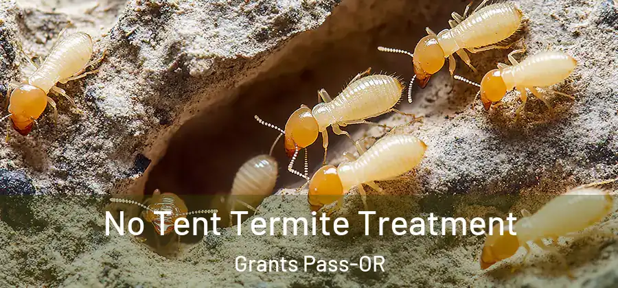 No Tent Termite Treatment Grants Pass-OR