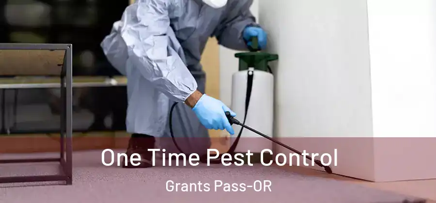 One Time Pest Control Grants Pass-OR