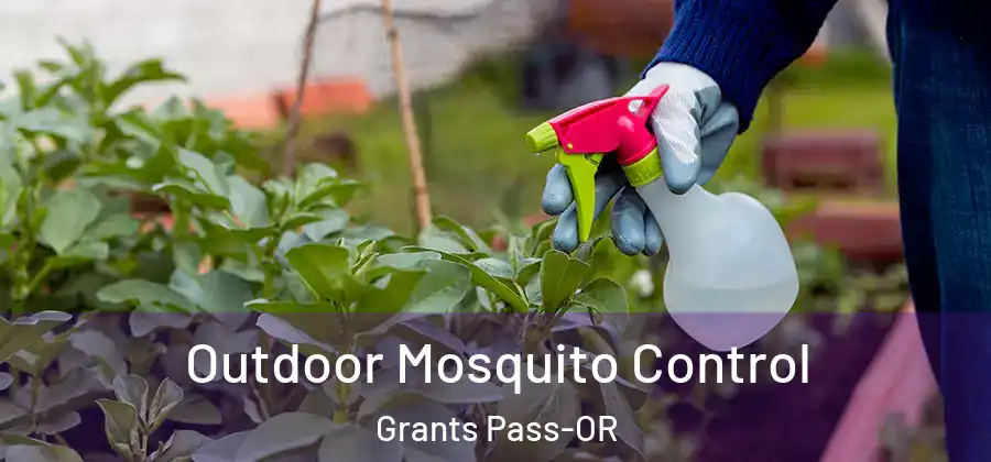 Outdoor Mosquito Control Grants Pass-OR