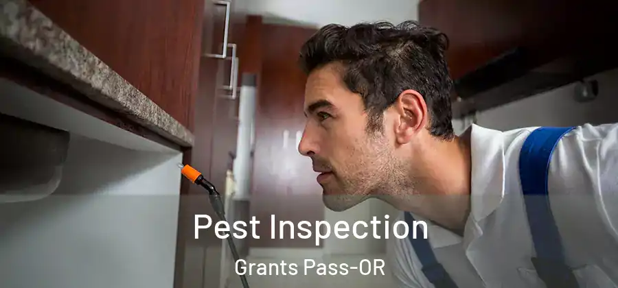 Pest Inspection Grants Pass-OR