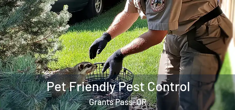 Pet Friendly Pest Control Grants Pass-OR