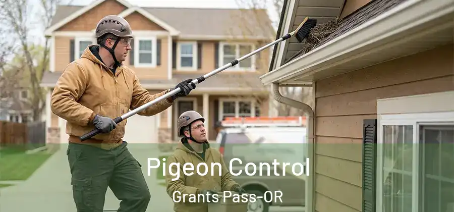 Pigeon Control Grants Pass-OR