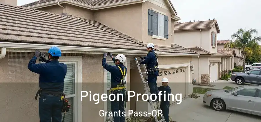 Pigeon Proofing Grants Pass-OR