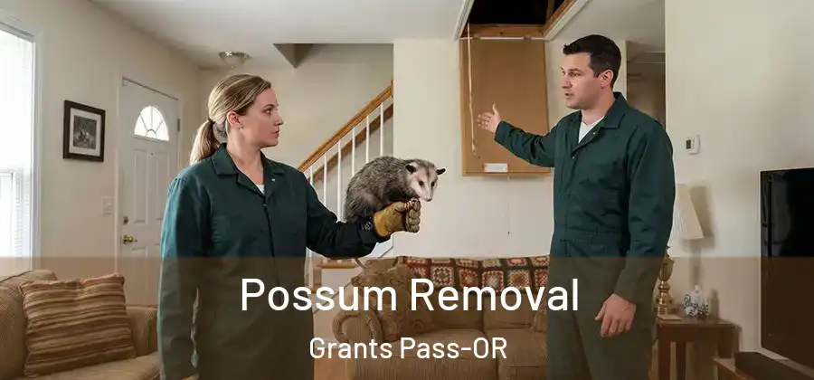 Possum Removal Grants Pass-OR