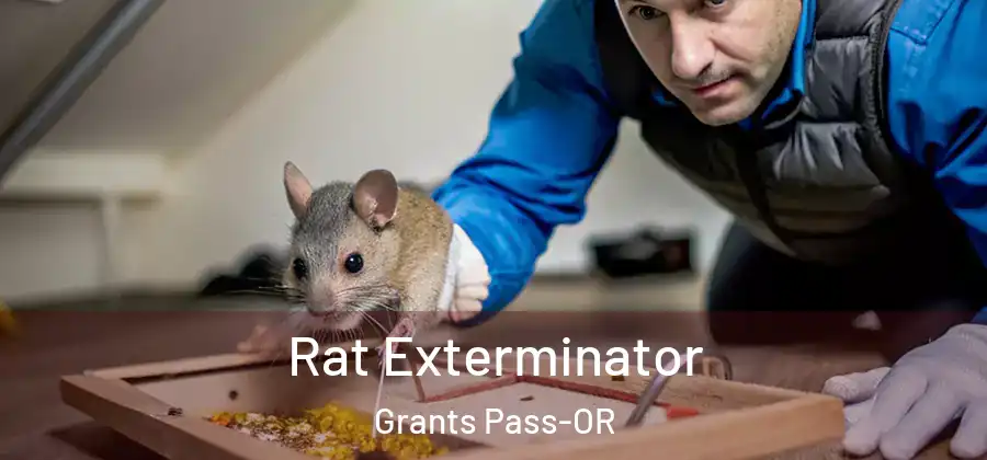  Rat Exterminator Grants Pass-OR