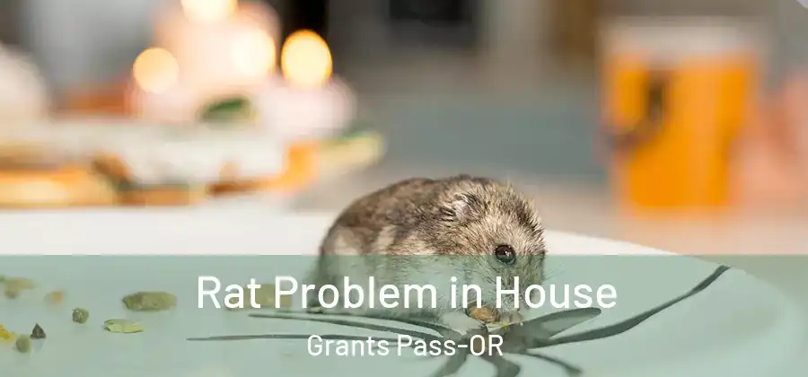 Rat Problem in House Grants Pass-OR