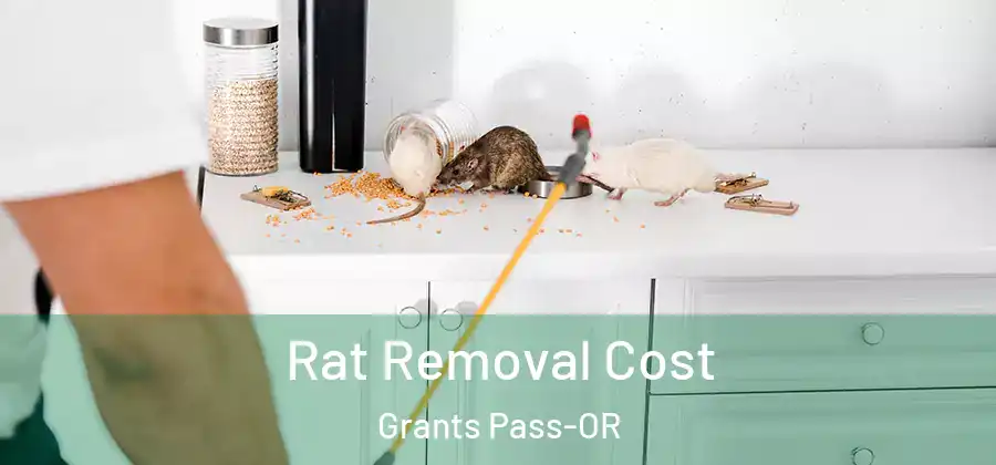 Rat Removal Cost Grants Pass-OR