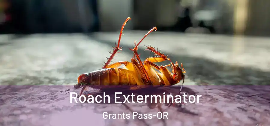  Roach Exterminator Grants Pass-OR
