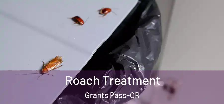 Roach Treatment Grants Pass-OR