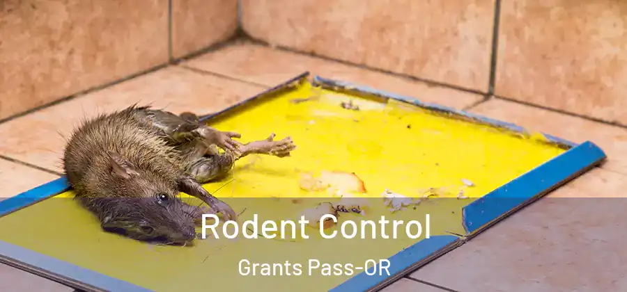  Rodent Control Grants Pass-OR