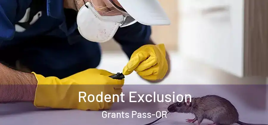 Rodent Exclusion Grants Pass-OR