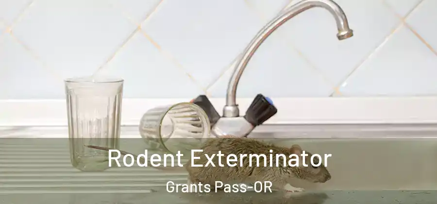  Rodent Exterminator Grants Pass-OR