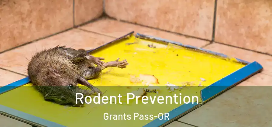Rodent Prevention Grants Pass-OR