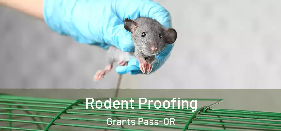 Rodent Proofing Grants Pass-OR