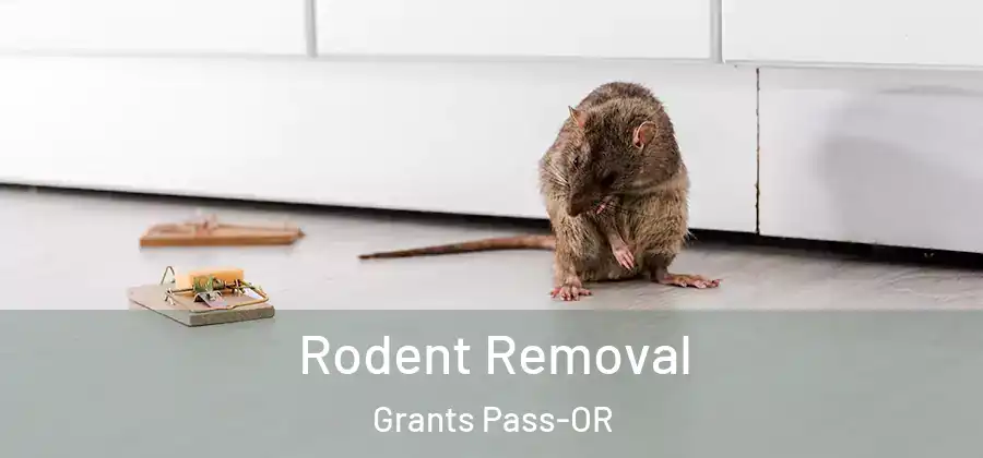 Rodent Removal Grants Pass-OR
