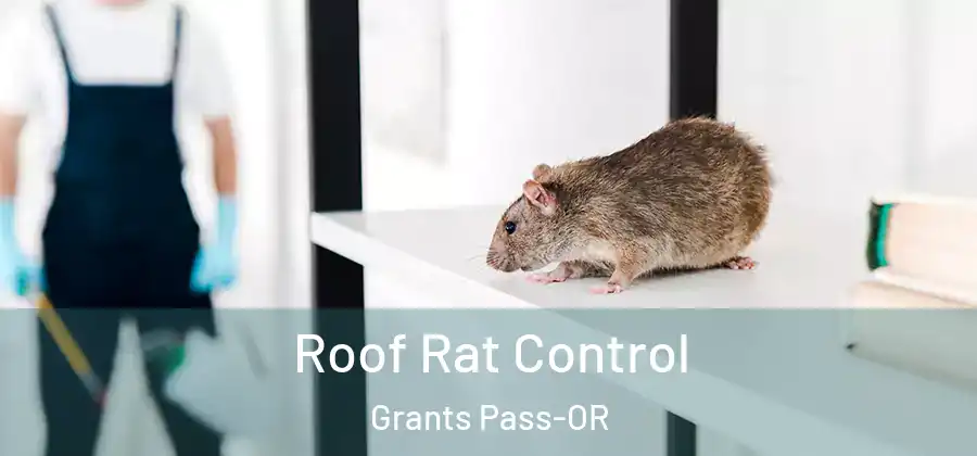  Roof Rat Control Grants Pass-OR