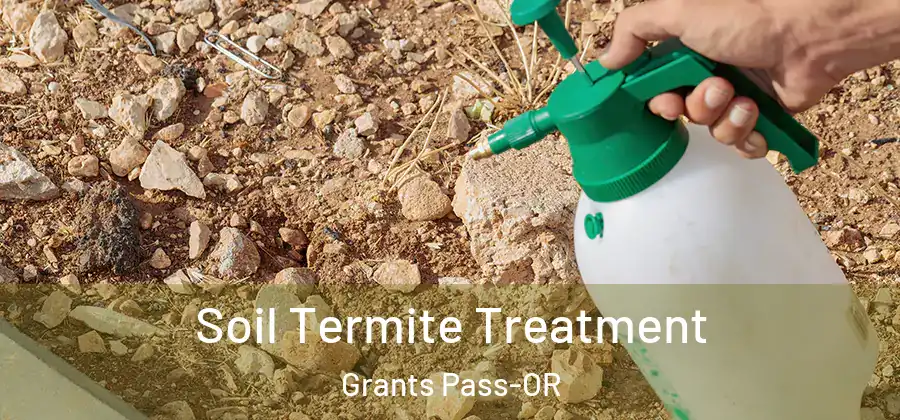 Soil Termite Treatment Grants Pass-OR