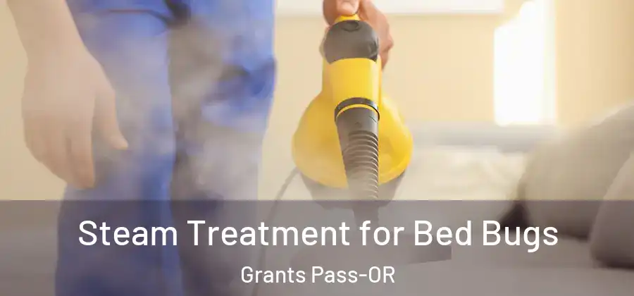 Steam Treatment for Bed Bugs Grants Pass-OR