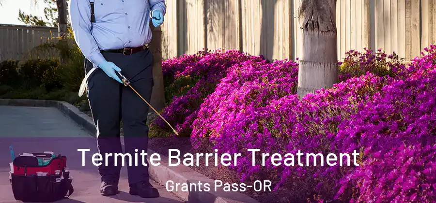 Termite Barrier Treatment Grants Pass-OR
