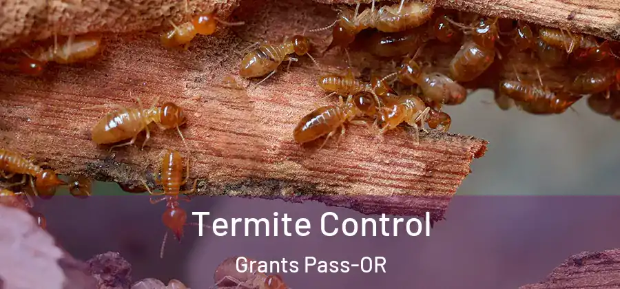 Termite Control Grants Pass-OR