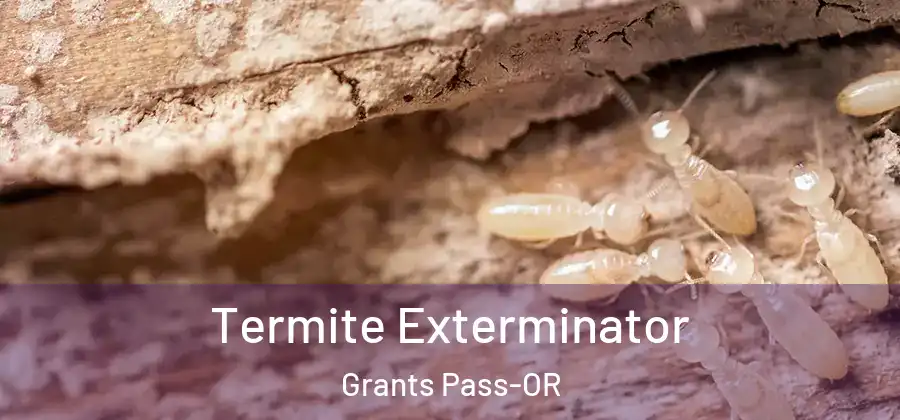 Termite Exterminator Grants Pass-OR