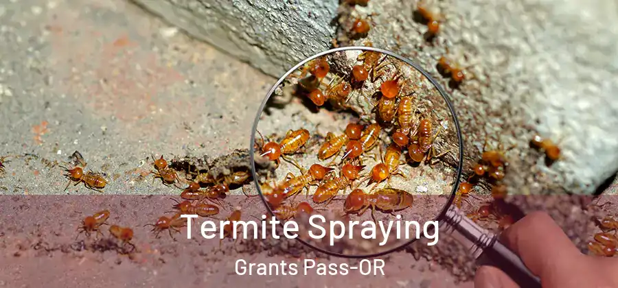Termite Spraying Grants Pass-OR