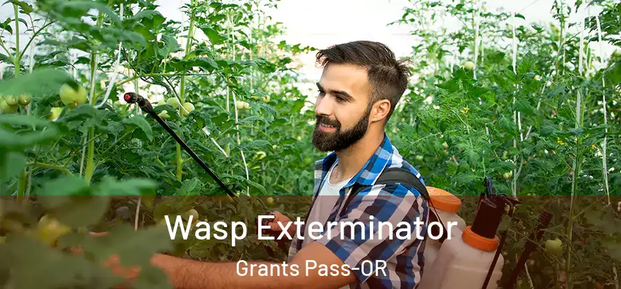  Wasp Exterminator Grants Pass-OR