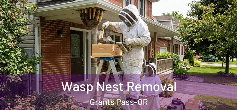 Wasp Nest Removal Grants Pass-OR