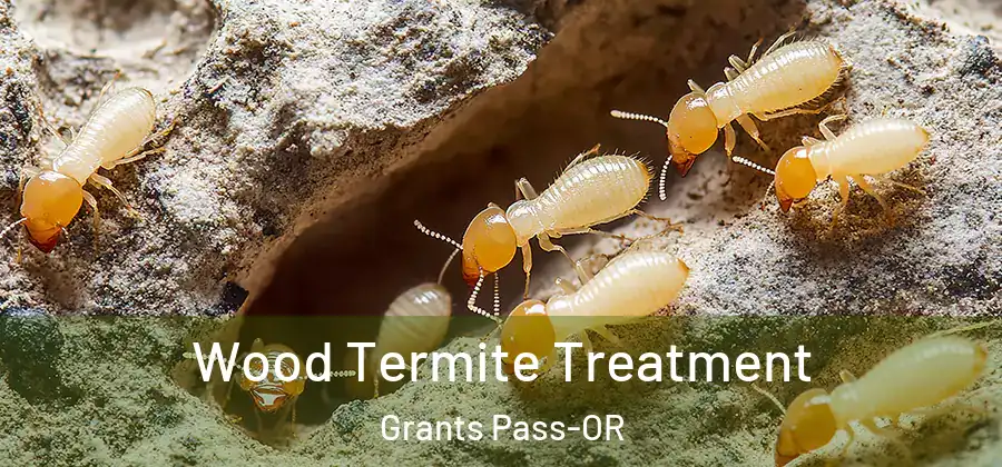 Wood Termite Treatment Grants Pass-OR