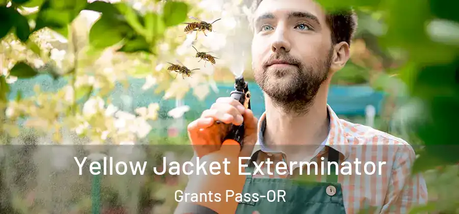 Yellow Jacket Exterminator Grants Pass-OR