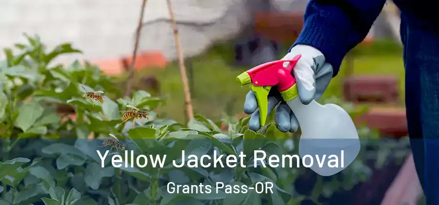  Yellow Jacket Removal Grants Pass-OR